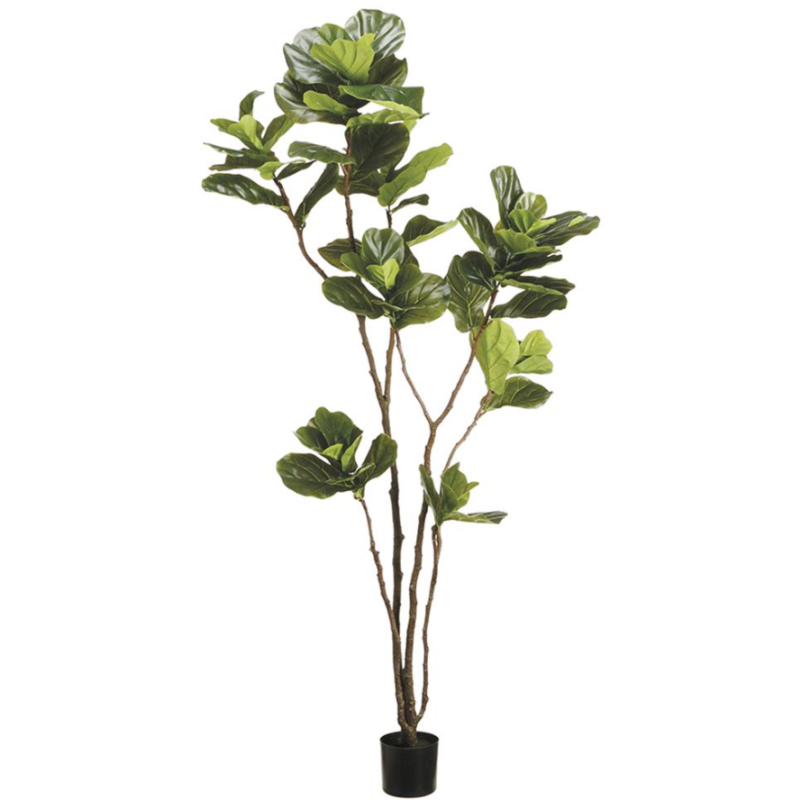7' Faux Eva Fiddle Leaf Tree